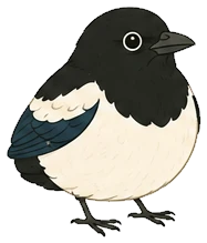 Blob, the tailless magpie