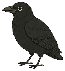 A carrion crow